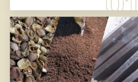 Coffee Grounds Briquettes